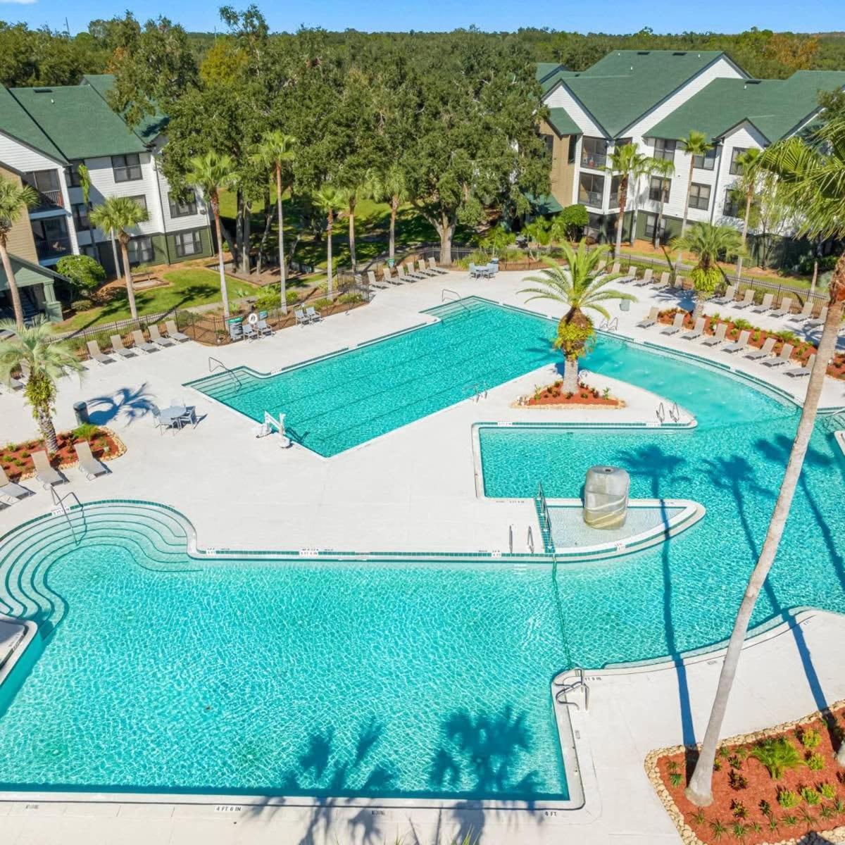 5 Mi To Busch Gardens + 2 Mi To Usf + Pool + Gym Apartment Tampa Ngoại thất bức ảnh